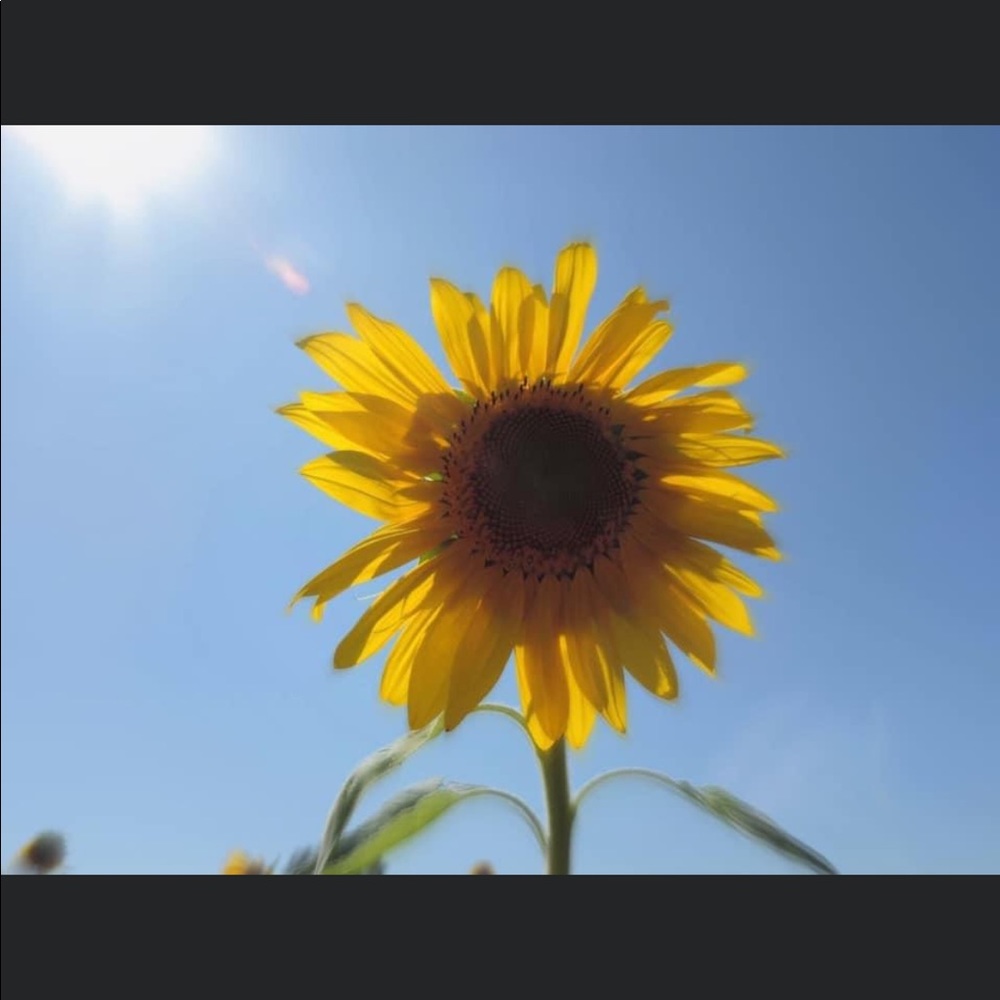 Meet your Posher, Victoria